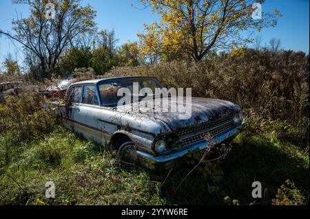 Abandoned classic cars rusting in Namib desert, Namibia Stock Photo - Alamy
