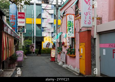 Hotel Little Chapel Little Coconuts is a love hotel in the Tennoji district of Osaka where couples can enjoys a short time together in a fantasy room. Stock Photo