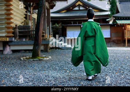 Kannushi dressing with blue hakama in Shinto shrine during autumn
