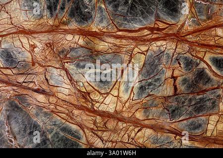 Excellent Rainforest Green Extra - marble background, texture in expensive colors for your unique design look. Stock Photo