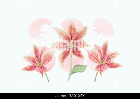 Bright watercolor painting of lily flower pink, brush ink, splash stroke stain circle line. Abstract art illustration pattern on a white background. Stock Photo