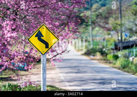Travel warning signs are placed on the side of the road among suburban trees, such as Wild Himalayan Cherry, when Sakura trees are in full pink bloom Stock Photo