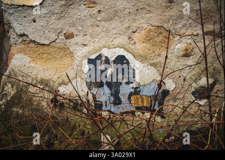 Layers of time revealed: A weathered wall with peeling paint, showing fragments of history and decay, found in a ruined church. Stock Photo
