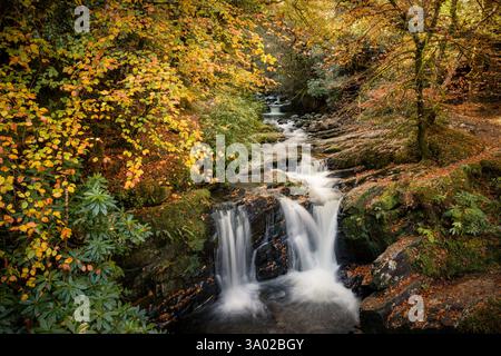 Upper Torc Waterfall, Killarney National Park,Kerry, Ireland Stock Photo