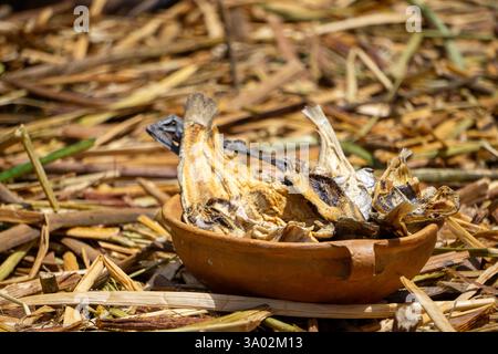 Native Andean Dried Fish in a Clay Pot on Totora Rafts at Uros Floating Islands Lake Titicaca Peru a Representation of Indigenous Traditions Stock Photo