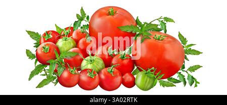 Red and green tomatoes isolated on white background Stock Photo
