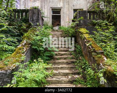 Ruins of starcase in abandoned Akarmara town, Tkvarcheli city, Abkhazia. Old destroyed building overgrown by greenery in summer. Concept of war, archi Stock Photo