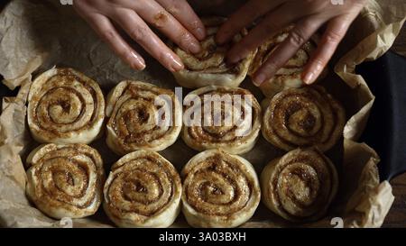 Placing cinnamon rolls in the baking pan. Stock Photo