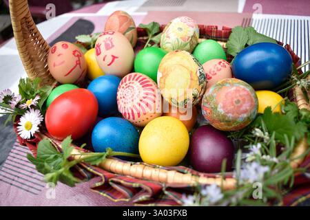 Close up of Easter background with painted eggs and small beautiful flowers in a basket. Stock Photo