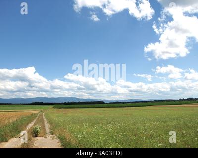 Taken during one of our hiking in the summer. A long trail of plain field and sunshine. Stock Photo