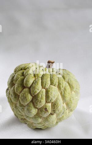 Fruits, custard apple sugar apple annona squamosa on gray background Stock Photo