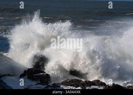 A large wave crashes against a rock on the ocean shore. Spray and foam fly off as if from an explosion. Stock Photo