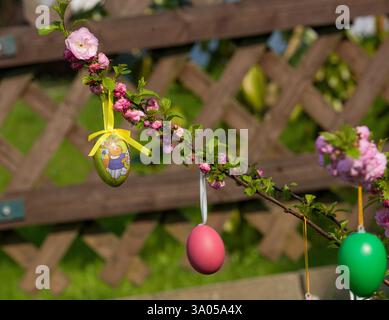 Easter tree decorated with colorful Easter eggs in the garden Stock Photo
