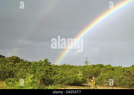 Beautiful rainbow in a cloudy sky over a green landscape, Karlskrona, Sweden, Europe Stock Photo