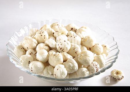 Dry fruit, Makhana fox nut, white ball, Euryl Ferox, India, Asia Stock Photo