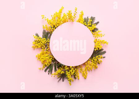 Blank card with beautiful yellow mimosa flowers on pink background Stock Photo