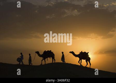 Men with camels walking on sand dune of khuhri, Jaisalmer, Rajasthan, India, Asia Stock Photo