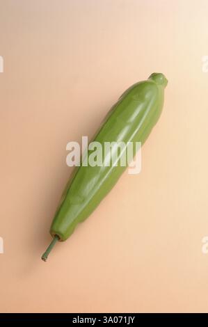 Vegetable Tori, Thurai English Name, Ridge Gourd Botanical name, Luffa acutangula Roxb.Family, Cucurbitacea, Art of Wooden Toy of Chitar ali, Sawantwa Stock Photo
