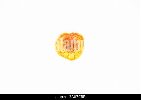 Back of a dried cherry tomato, backlit on white background Stock Photo