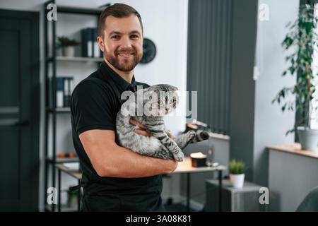 Man is holding the animal in hands. Groomer is taking care of scottish fold gray tabby cat indoors. Stock Photo