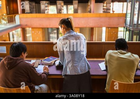 Rear view of multiracial students studying in university library Stock Photo