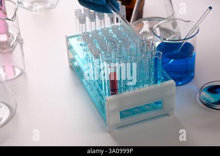 Scientist using pipette to analyze test tubes filled with blue and red liquid solutions in a laboratory setting, conducting scientific research and ex Stock Photo