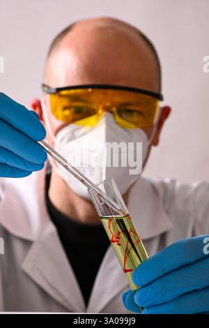 Scientist wearing protective glasses and mask measuring temperature of chemical liquid in test tube using thermometer during experiment in laboratory. Stock Photo