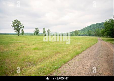 A dirt road winds through a vast green field under an overcast sky Stock Photo