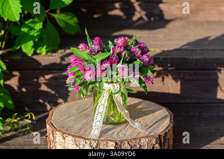 A beautiful arrangement of purple trifolium flowers sits on a wooden stump. Close up. Stock Photo