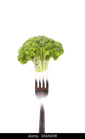 Broccoli impaled on a fork. White background. Stock Photo