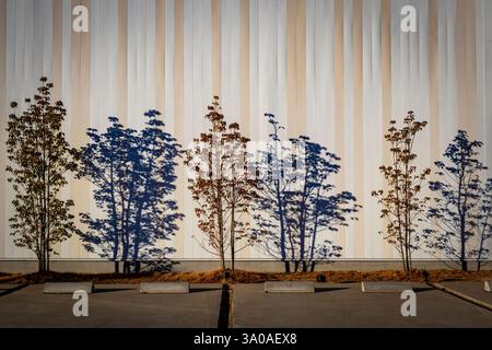 Abstract image of trees and shadows against background, Kanazawa, Ishikawa, Japan Stock Photo