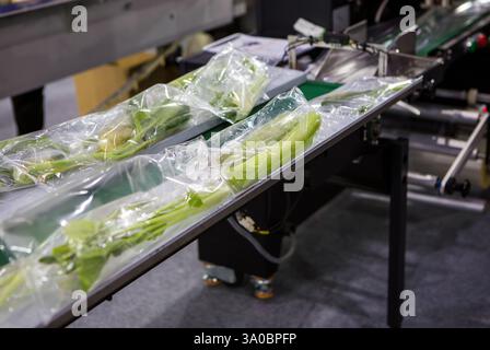 Automatic food flow wrapping machine. Food packaging machine Stock Photo