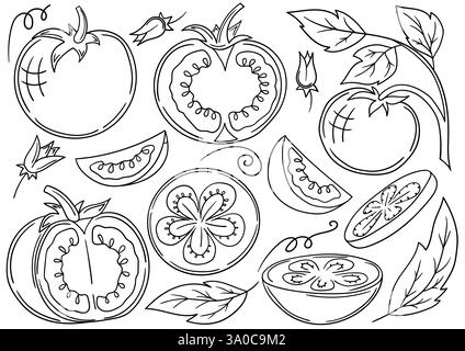 Tomato. Set of monochrome illustrations in hand draw style. Hand-drawn, black outline. Design for coloring by colors, postcards. Icons, signs, sticker Stock Vector
