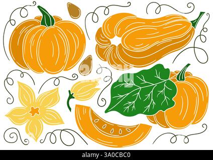 Pumpkin. Set of color illustrations in hand draw style. White outline. Design for postcards, flyers, banners. Icons, signs, stickers, pins logo Stock Vector