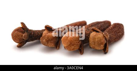 Cloves group isolated on white background Stock Photo