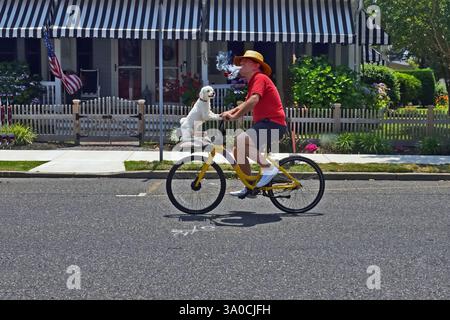 Man and dog riding bicycle, USA Stock Photo