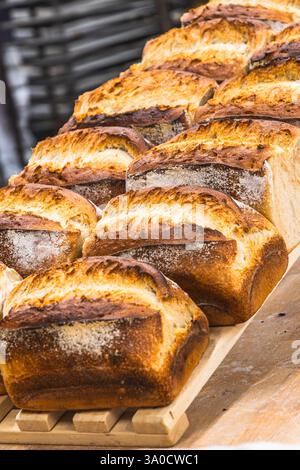 Freshly baked loaves of bread on a wooden board, vertical Stock Photo