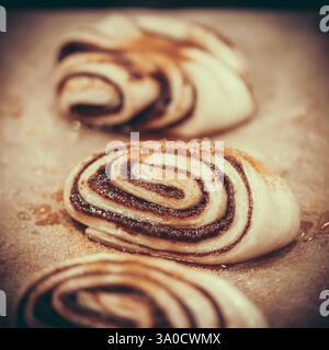 Raw cinnamon rolls on a tray, ready to bake Stock Photo