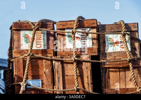 vintage wooden orange crates with label for Citrib brand and oranges illustration with old rope holding them onto a classic Bristol freight lorry Stock Photo