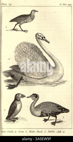 Natural, history, of, animals, London, Harvey, and, Darton, 1842, The ...
