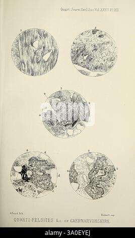 The Quarterly Journal of the Geological Society of London, v. 35 (1879), London, geology, periodicals, The illustration features five detailed circular depictions showcasing various geological formations. Each segment is labeled with letters, indicating distinct features or compositions relevant to quartz-felsites and other rock types. The textures and patterns within each circle illustrate the complex mineral structures, highlighting variations in quartz and felsic minerals as observed in the region of Caernarvonshire. The intricate lines and shading suggest a focus on the detailed study of g Stock Photo