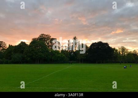 Beautiful sunset with cloudy sky and orange light shining in Herbert park, Ireland. Scenic sky behind the woods. Stock Photo
