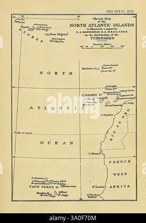 A map of the North Atlantic Ocean and surrounding lands Stock Photo - Alamy