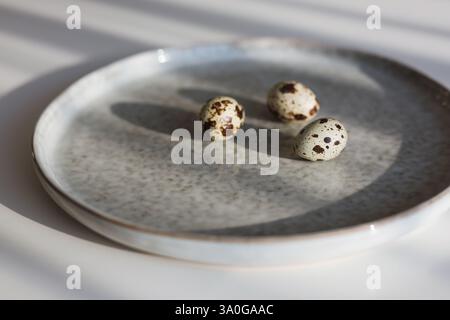 Three quail eggs on a plate in morning light Stock Photo
