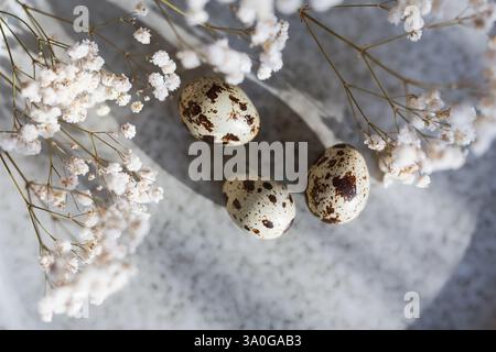 Three quail eggs on a plate in morning light, top view Stock Photo