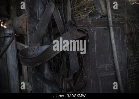 Rustic barn interior showing leather straps and vintage tools hanging on wooden walls. Stock Photo