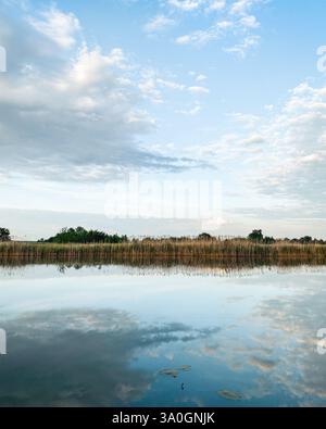 Sunset sky reflects in a river. Trees and cattail plants on the other bank in the background reflect in the water as well. Stock Photo