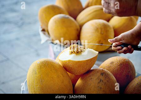 Man cut ripe yellow Uzbek melon by knife at market bazar in Bukhara, Uzbekistan Stock Photo