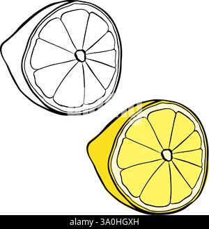Half of a ripe lemon in graphic line ink style. Vector isolated Fresh citrus fruit. Ingredient for making lemonade or dessert. Lemon. Stock Vector