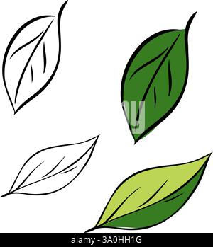 Eco green leaf vector illustration graphic line ink illustration set. vector set of elements isolated on transparent background ideal for nature-theme Stock Vector